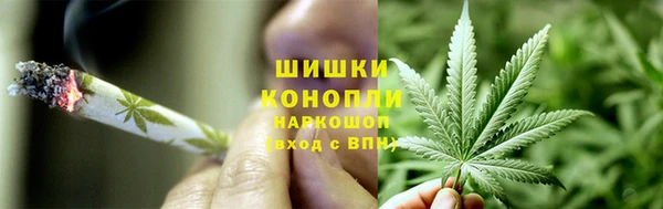 спиды Пестово
