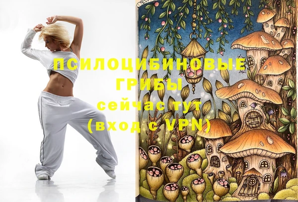 соль курить ск Пересвет
