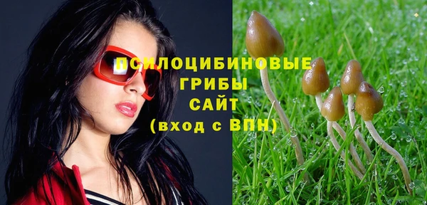 спиды Пестово