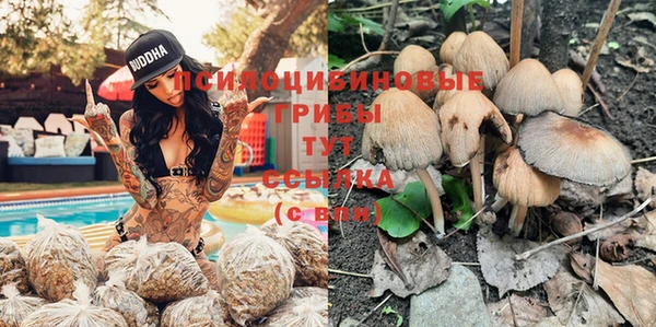соль курить ск Пересвет