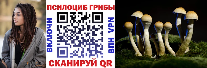 купить наркотик  мориарти состав  Галлюциногенные грибы мицелий  Калининец 